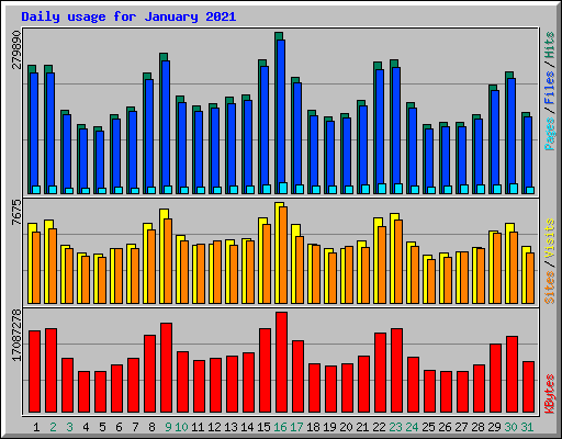 Daily usage for January 2021
