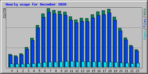 Hourly usage for December 2020