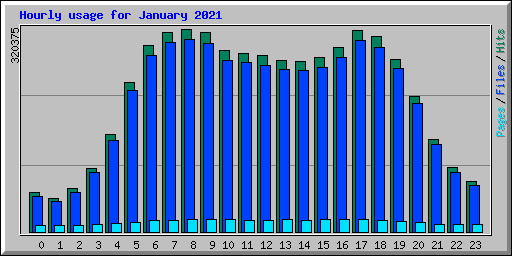 Hourly usage for January 2021