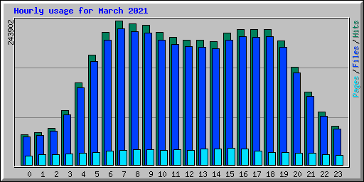 Hourly usage for March 2021