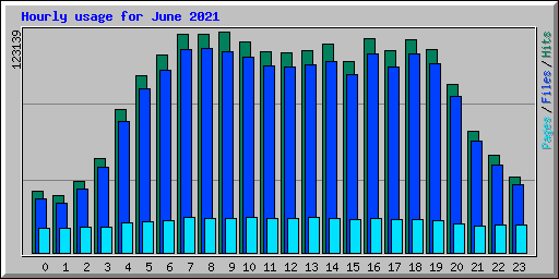 Hourly usage for June 2021