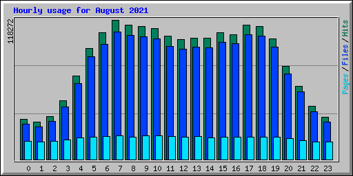 Hourly usage for August 2021