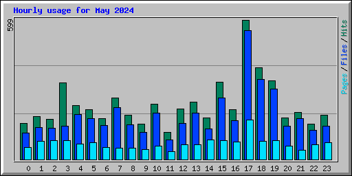 Hourly usage for May 2024