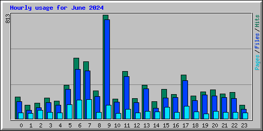 Hourly usage for June 2024