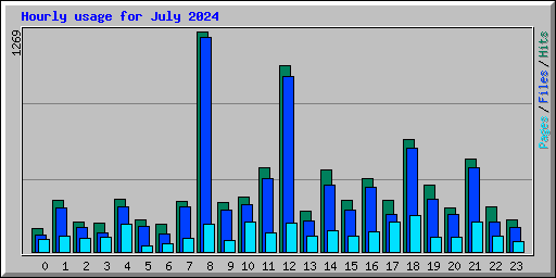 Hourly usage for July 2024