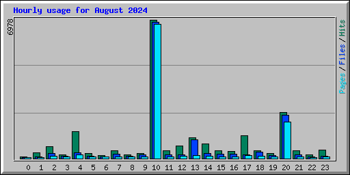 Hourly usage for August 2024