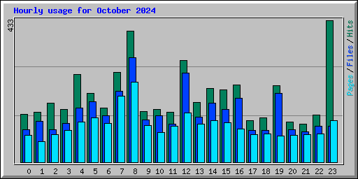 Hourly usage for October 2024