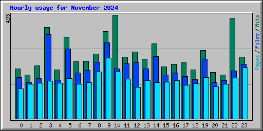 Hourly usage for November 2024