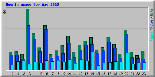 Hourly usage for May 2025