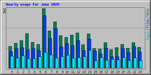 Hourly usage for June 2025