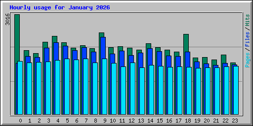 Hourly usage for January 2026