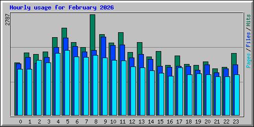 Hourly usage for February 2026